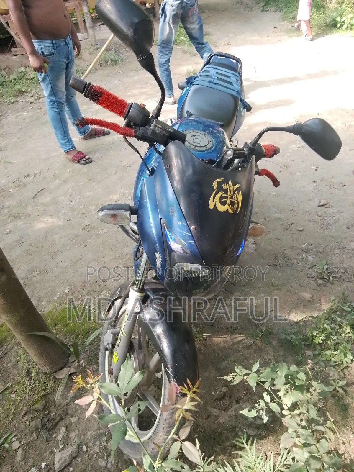 Bajaj Pulsar 150 2008 Green