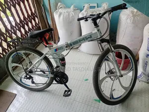 Folding Bicycle
