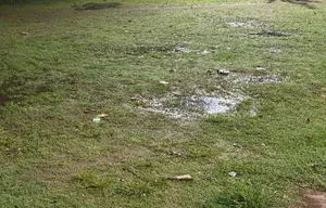৩ কাঠা জমি বিক্রয় করা হবে ৩০' রাস্তার পাশে