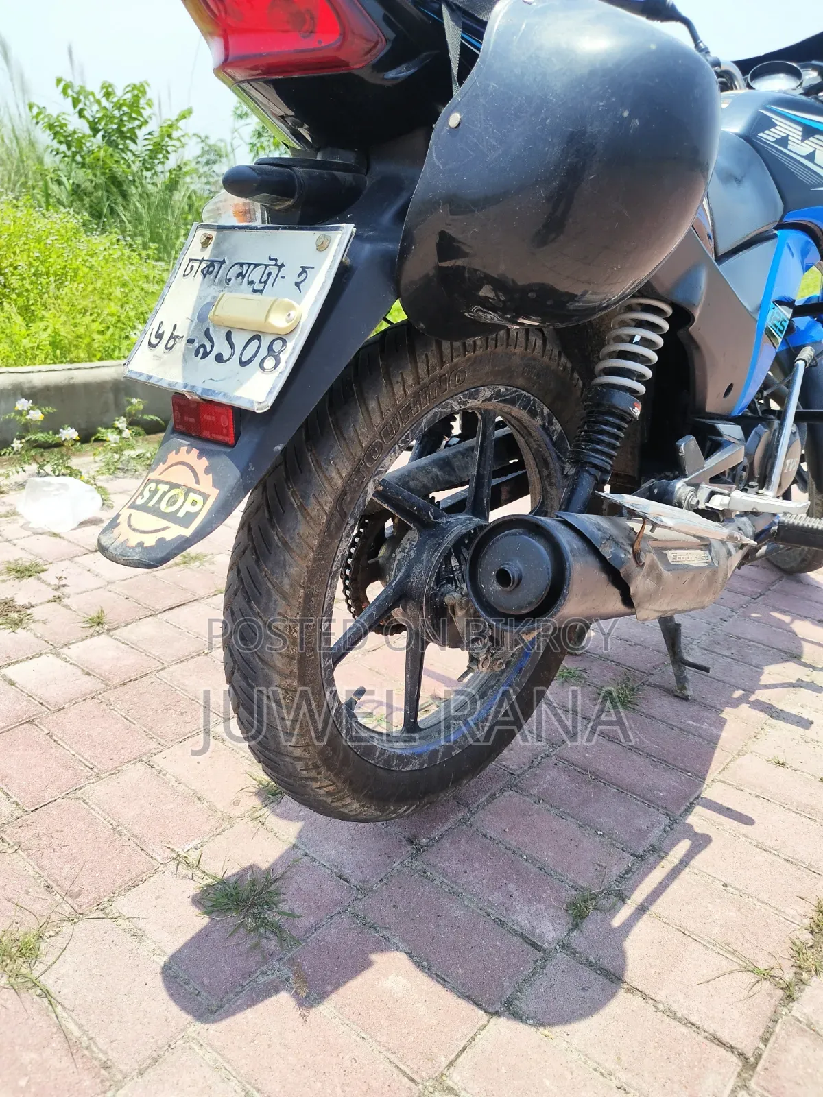 TVS Max 125 2020 Blue