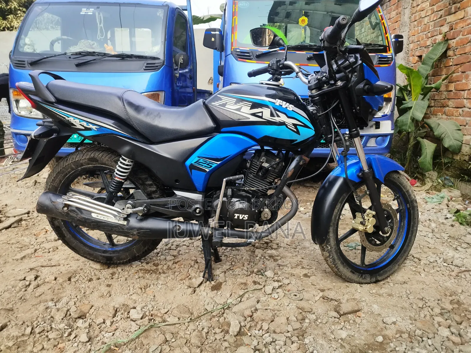 TVS Max 125 2020 Blue