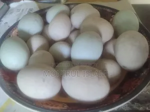হাসের ডিম ৩০ পিস