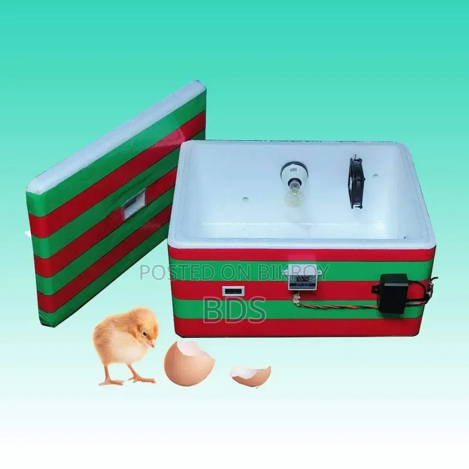 88 Egg Thermocol Incubator