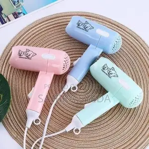 Hair Dryer | Professional Salon