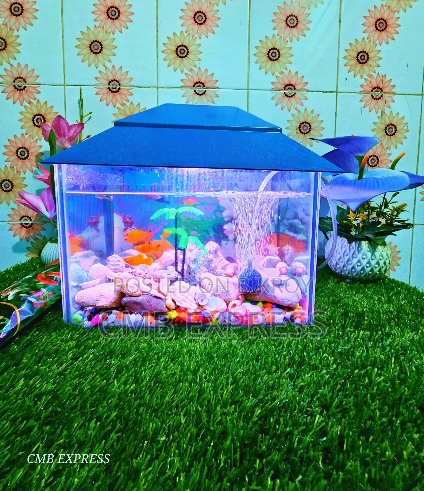 Complete aquarium setup with 12 pieces of Molly and Guppy fish for sale.