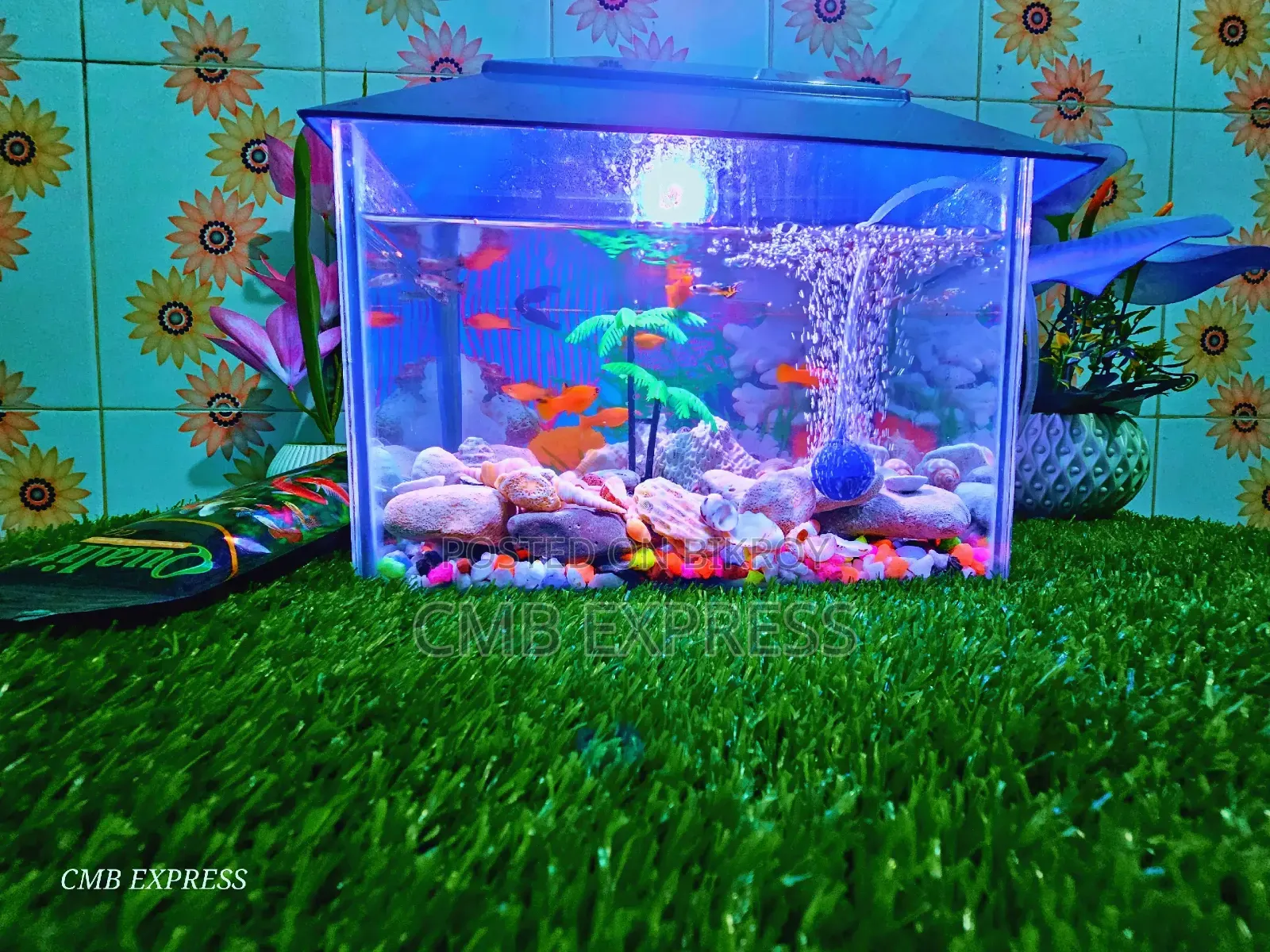 Complete aquarium setup with 12 pieces of Molly and Guppy fish for sale.