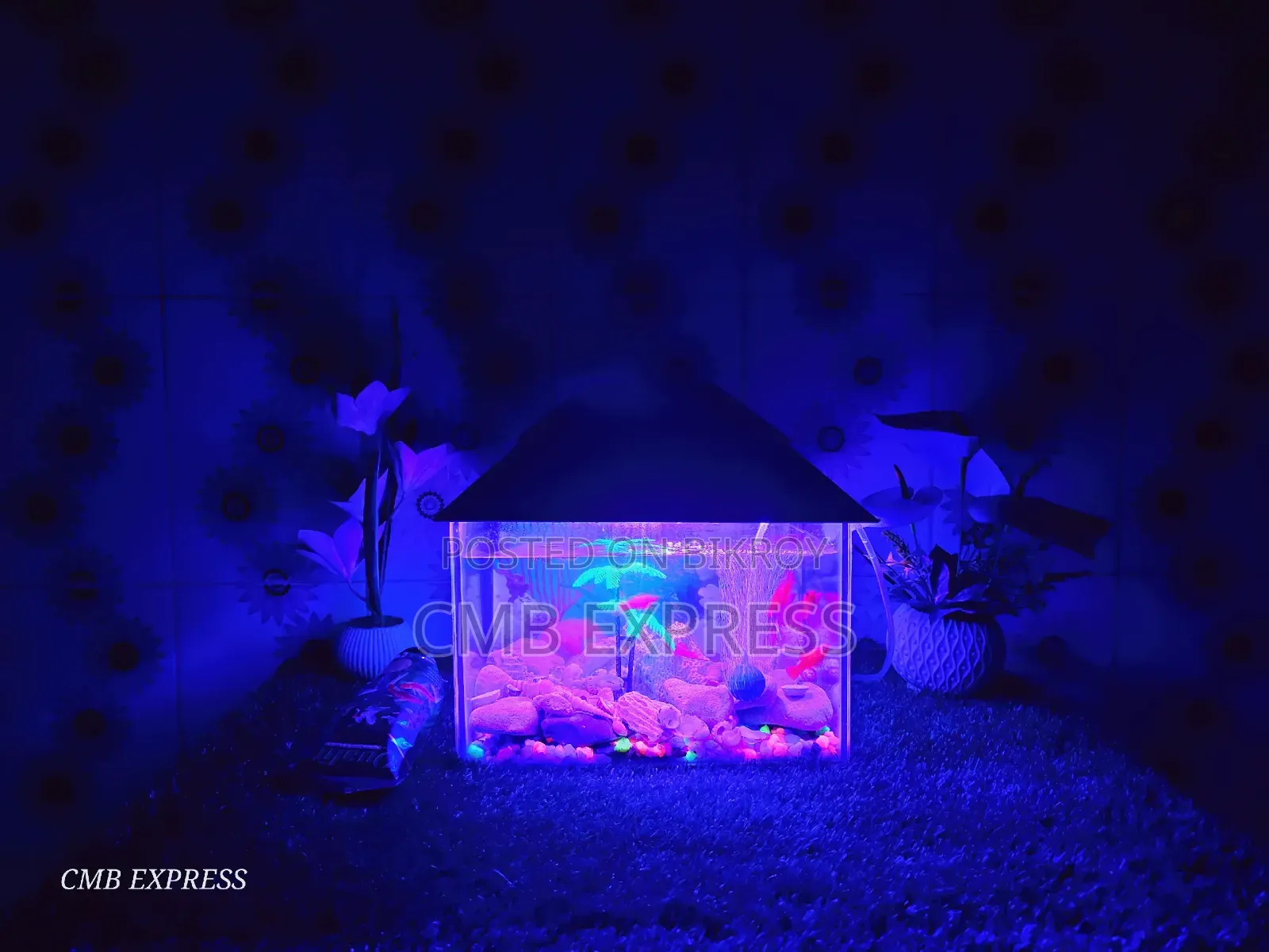 Complete aquarium setup with 12 pieces of Molly and Guppy fish for sale.