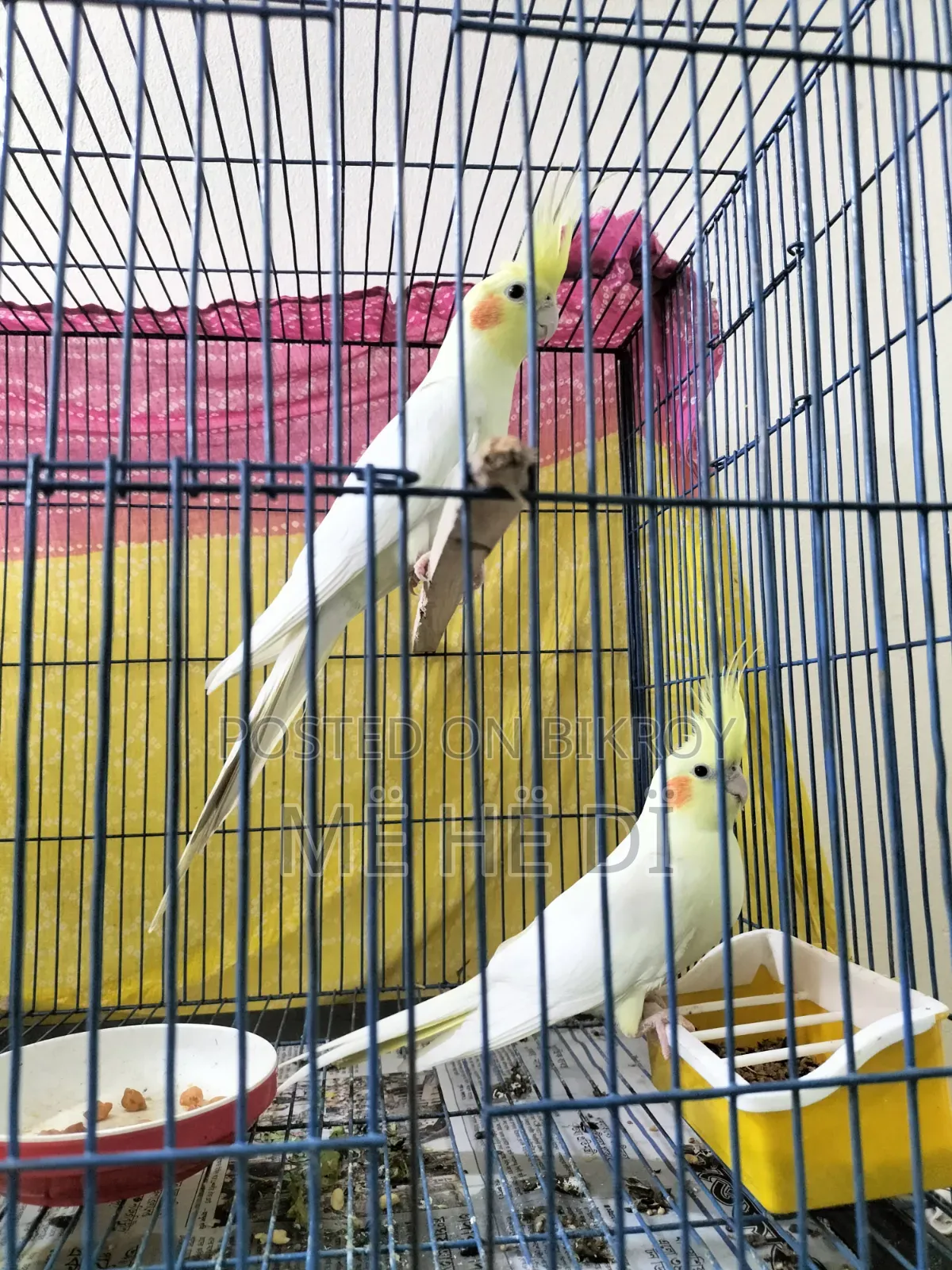 ককাটেল মাস্টার পেয়ার উইথ আ বেবি