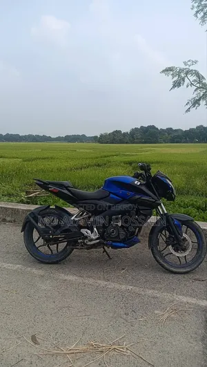 Bajaj Pulsar NS 160 2020 Blue