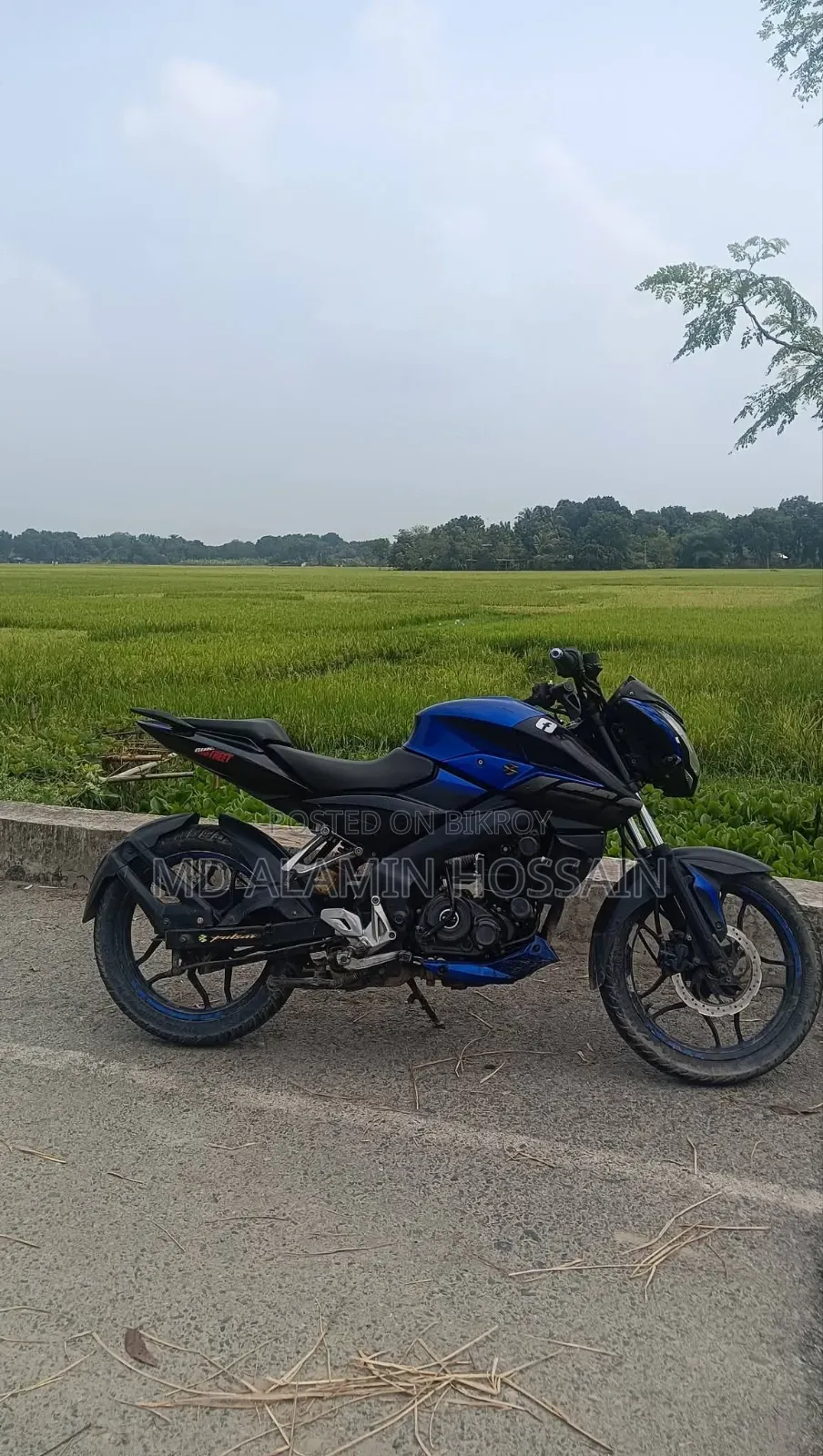 Bajaj Pulsar NS 160 2020 Blue