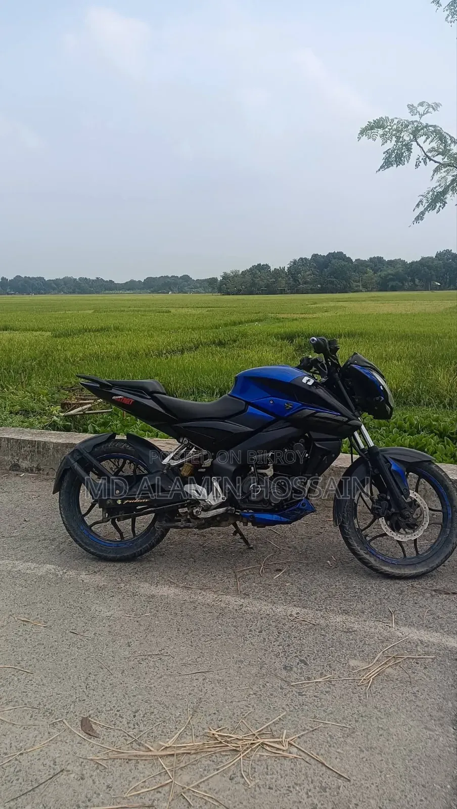 Bajaj Pulsar NS 160 2020 Blue