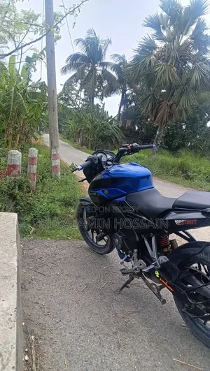Bajaj Pulsar NS 160 2020 Blue