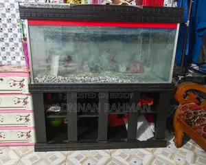 Big Size Aquarium