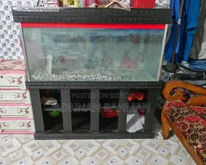 Big Size Aquarium