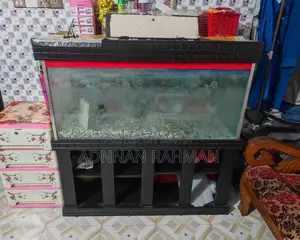 Big Size Aquarium