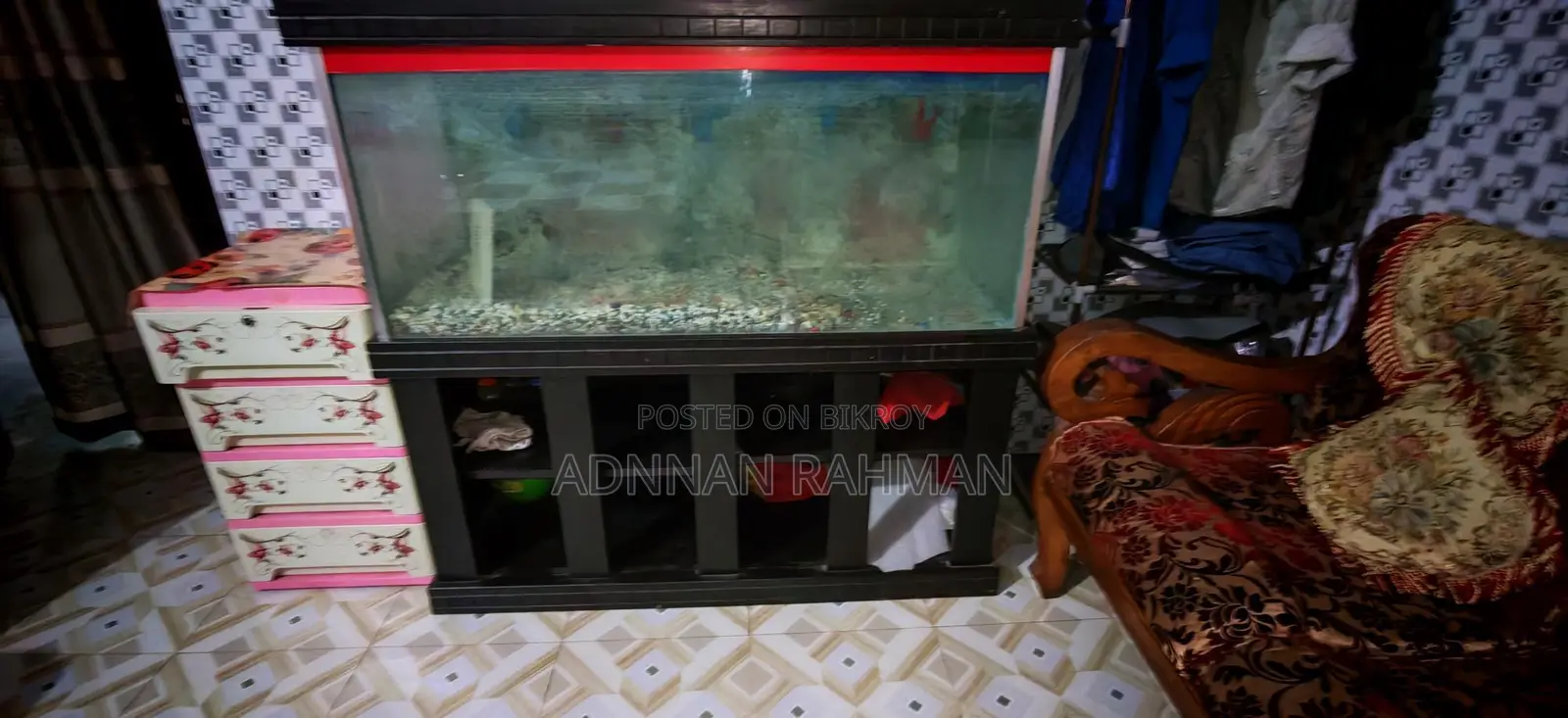 Big Size Aquarium