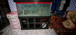 Big Size Aquarium
