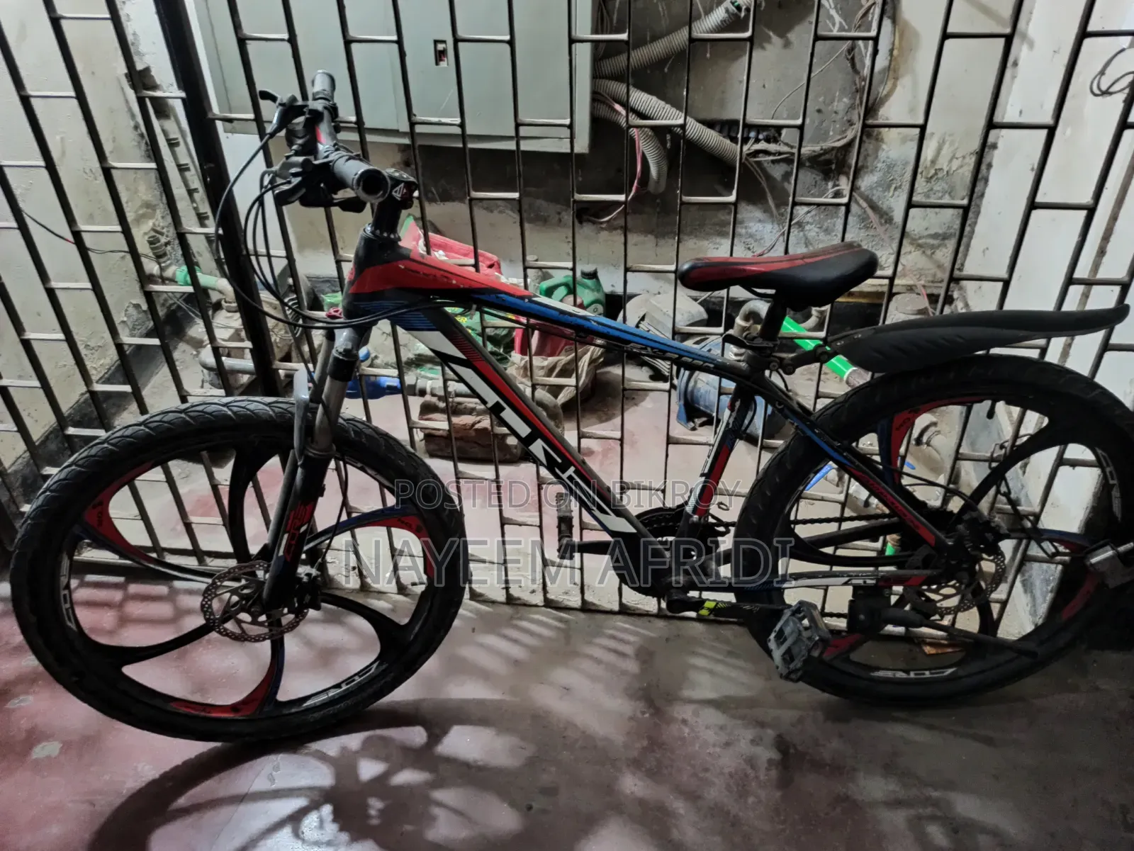 Tricycle 2021 Red