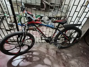 Tricycle 2021 Red
