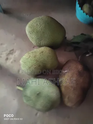 4 Piece Jackfruit for Sale, Ripe and Fresh
