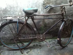 Phoenix Cycle