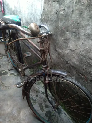 Phoenix Cycle