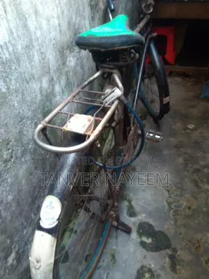 Phoenix Cycle