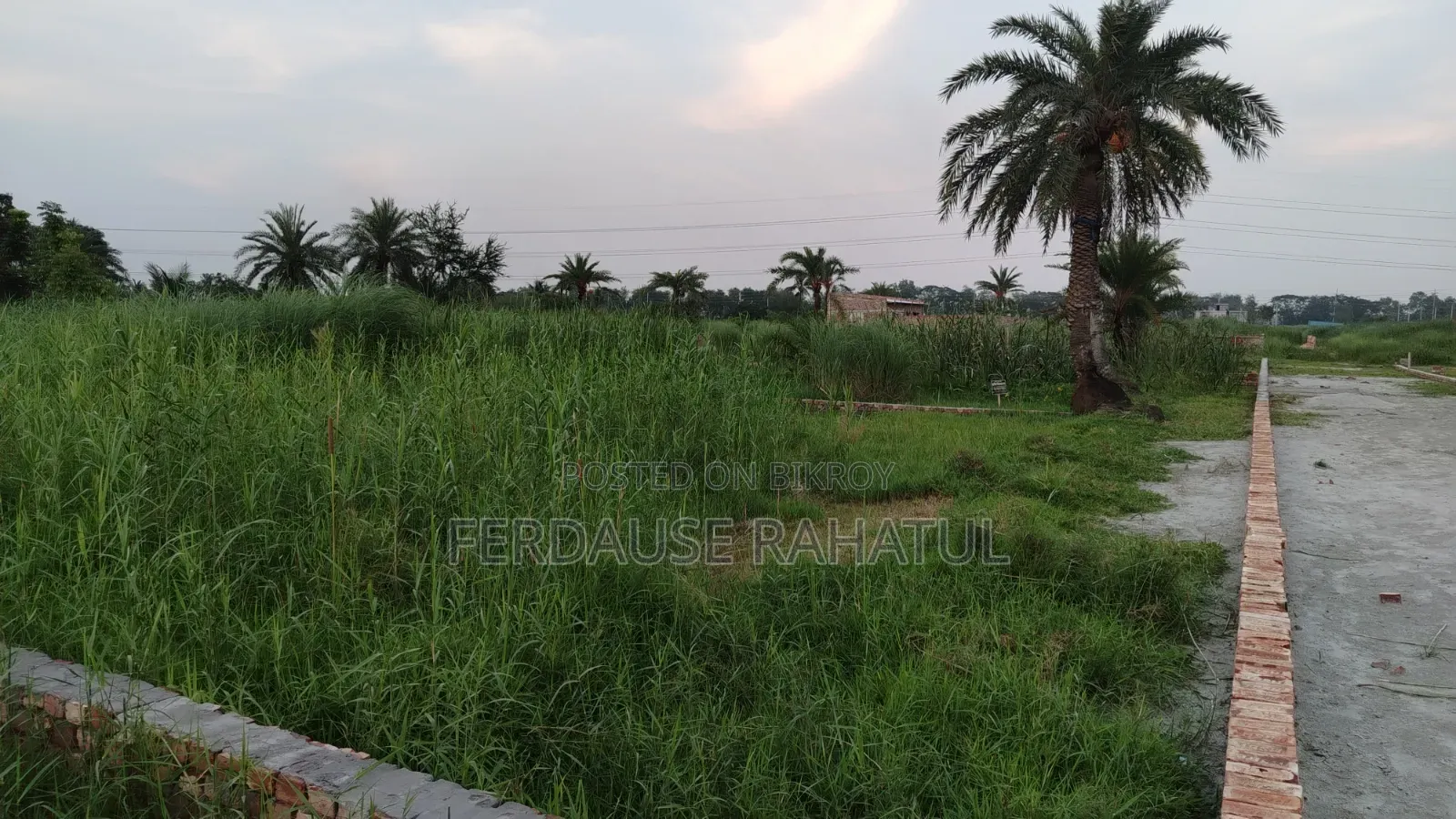 3 Decimal Land for Sale