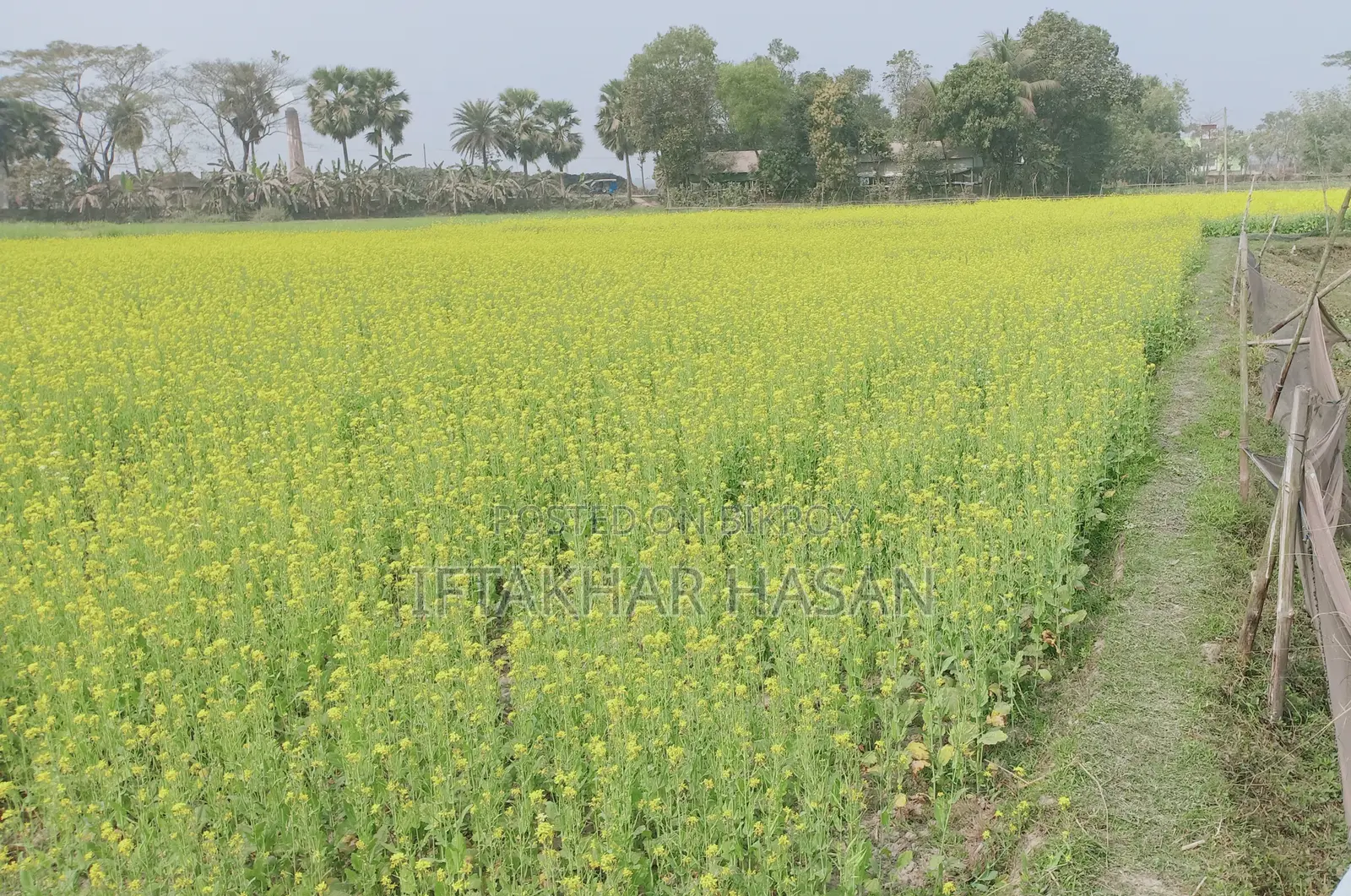 35 Shotok Premium Land for Sale