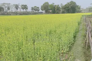35 Shotok Land for Sale