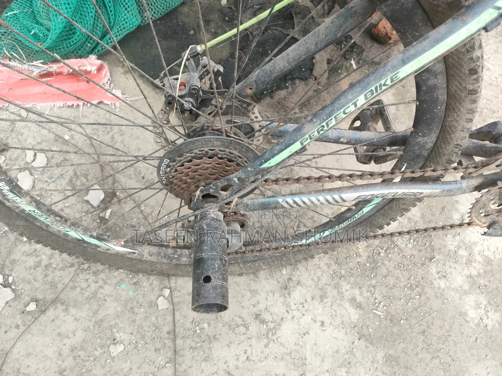 ফরেভার সাইকেল