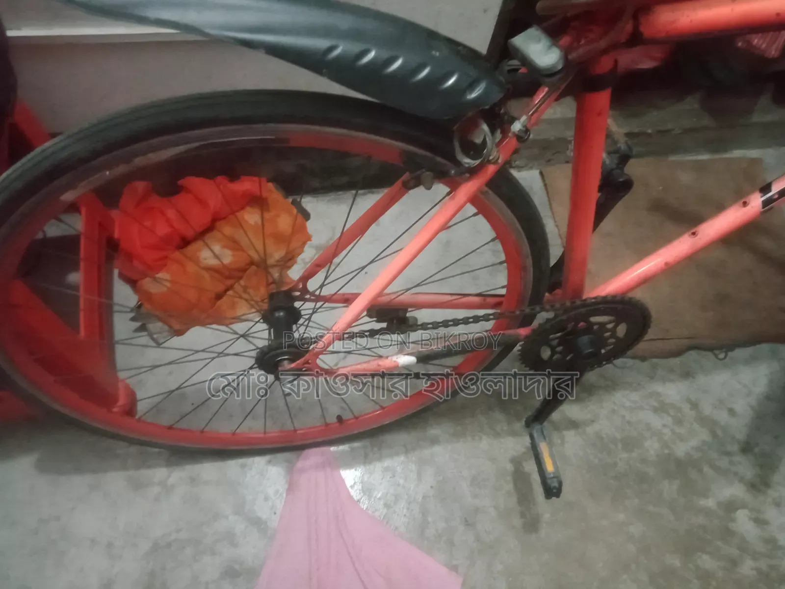 Road Bike Bicycle