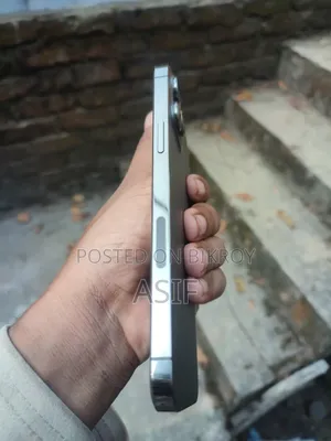 Apple iPhone 12 Pro Max 256 GB Gray
