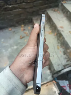 Apple iPhone 12 Pro Max 256 GB Gray