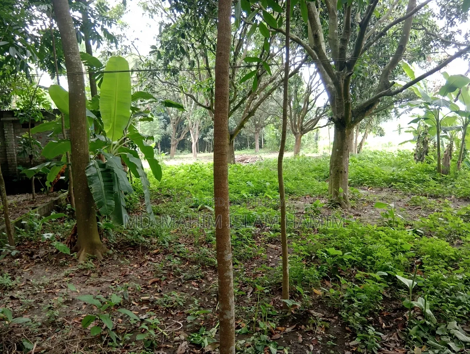 4.5 Katha Land for Sale in Katakhali