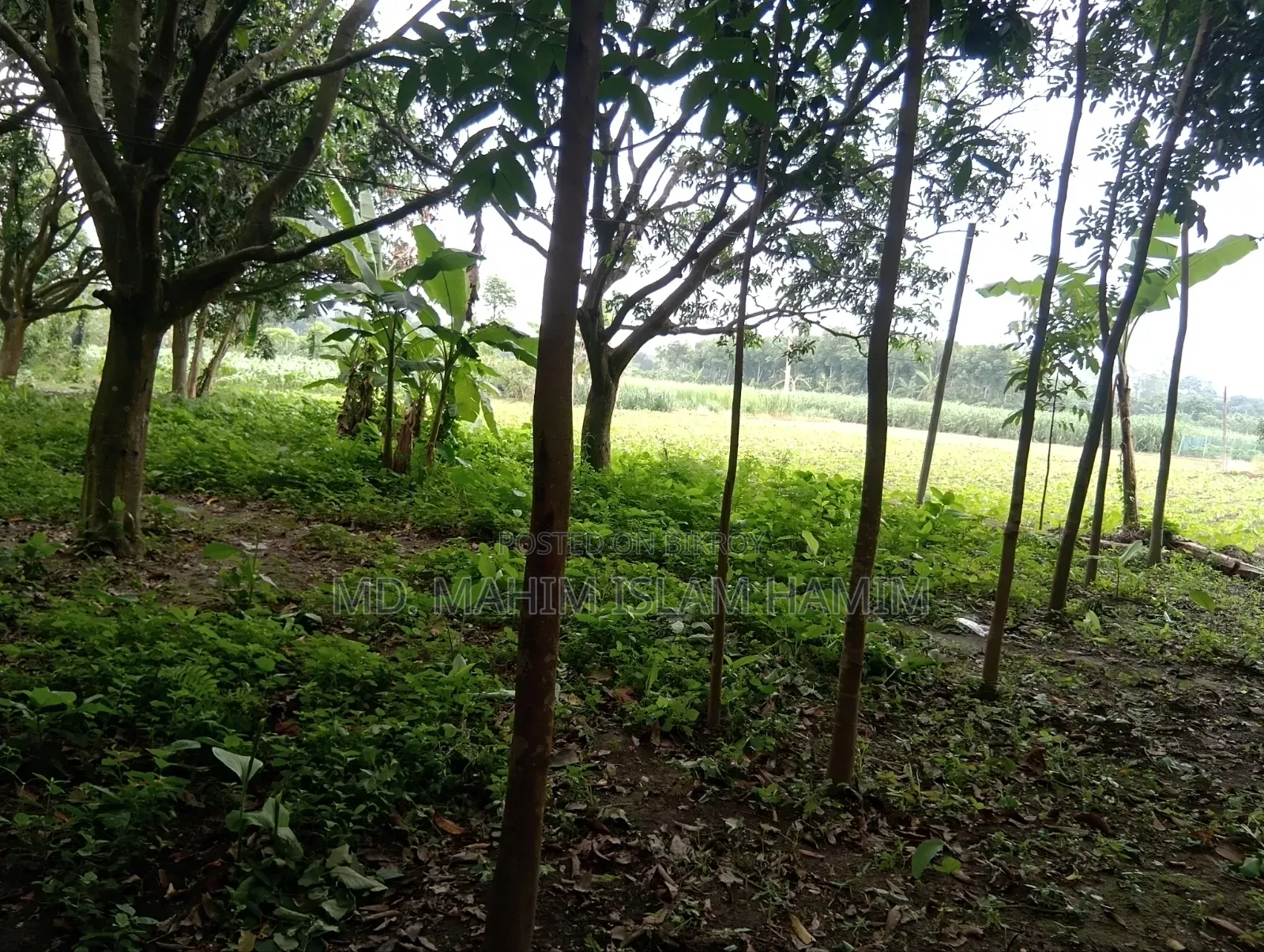 4.5 Katha Land for Sale in Katakhali