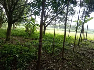 4.5 Katha Land for Sale in Katakhali