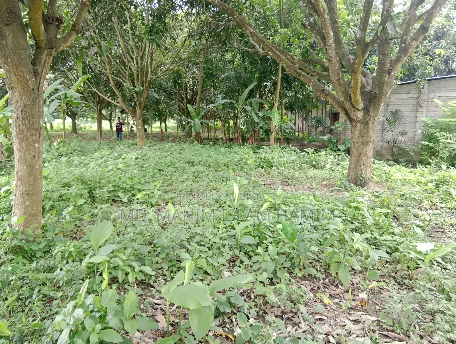 4.5 Katha Land for Sale in Katakhali