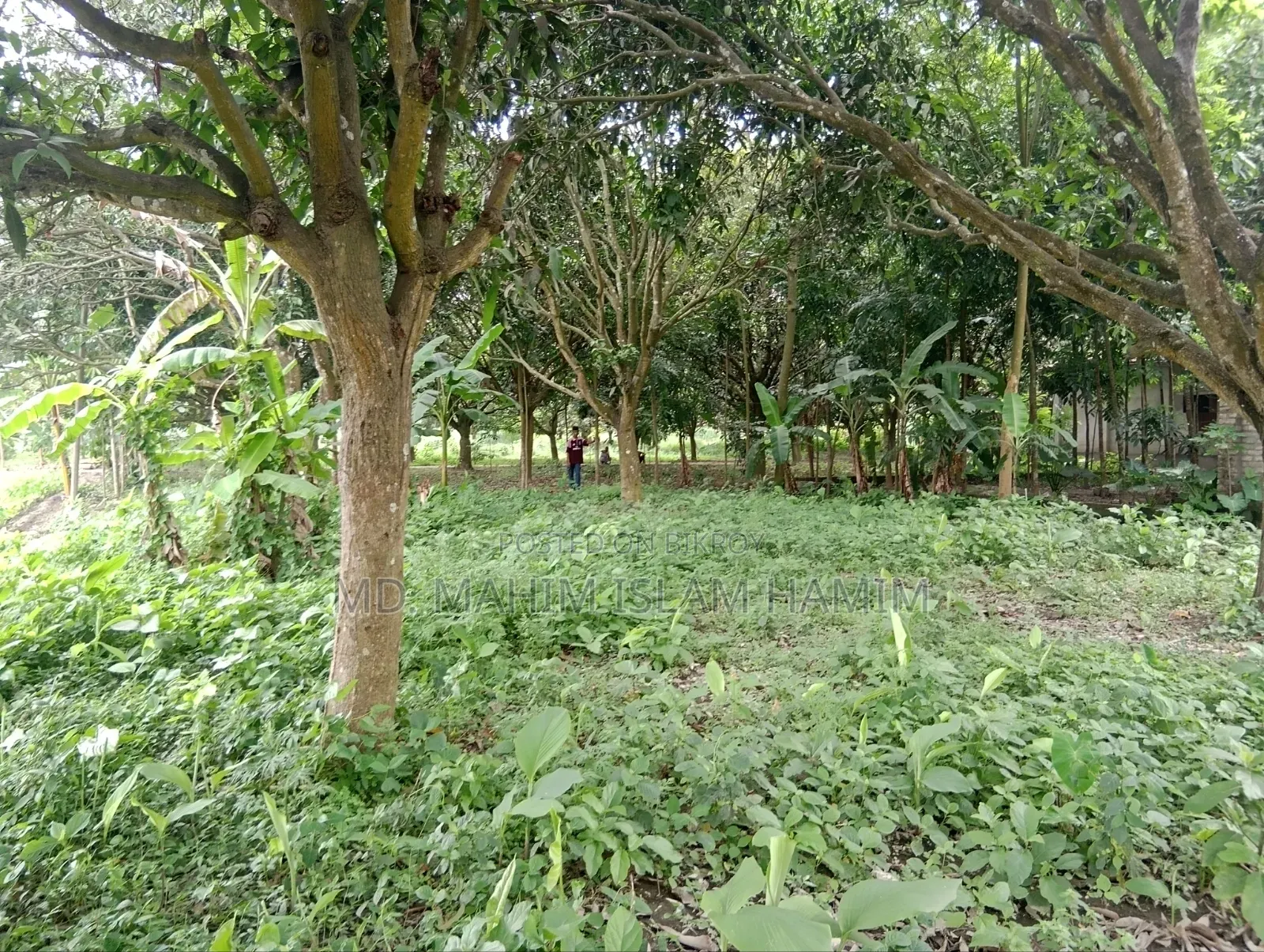4.5 Katha Land for Sale in Katakhali