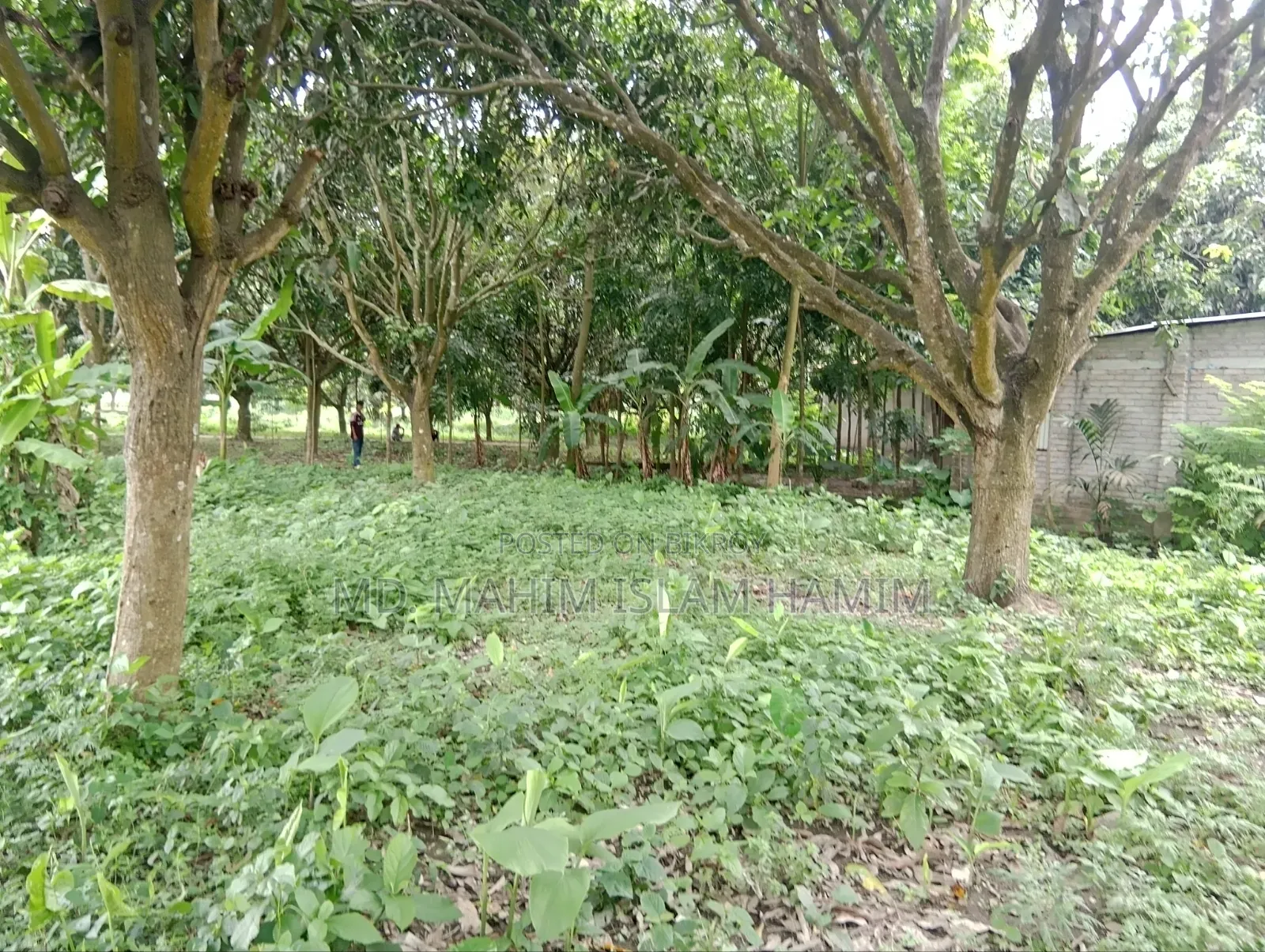 4.5 Katha Land for Sale in Katakhali