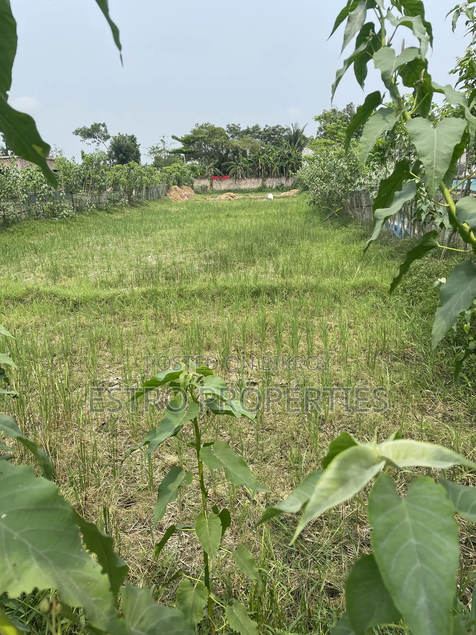 8 katha land for sale in Darogarvita area, Khulna