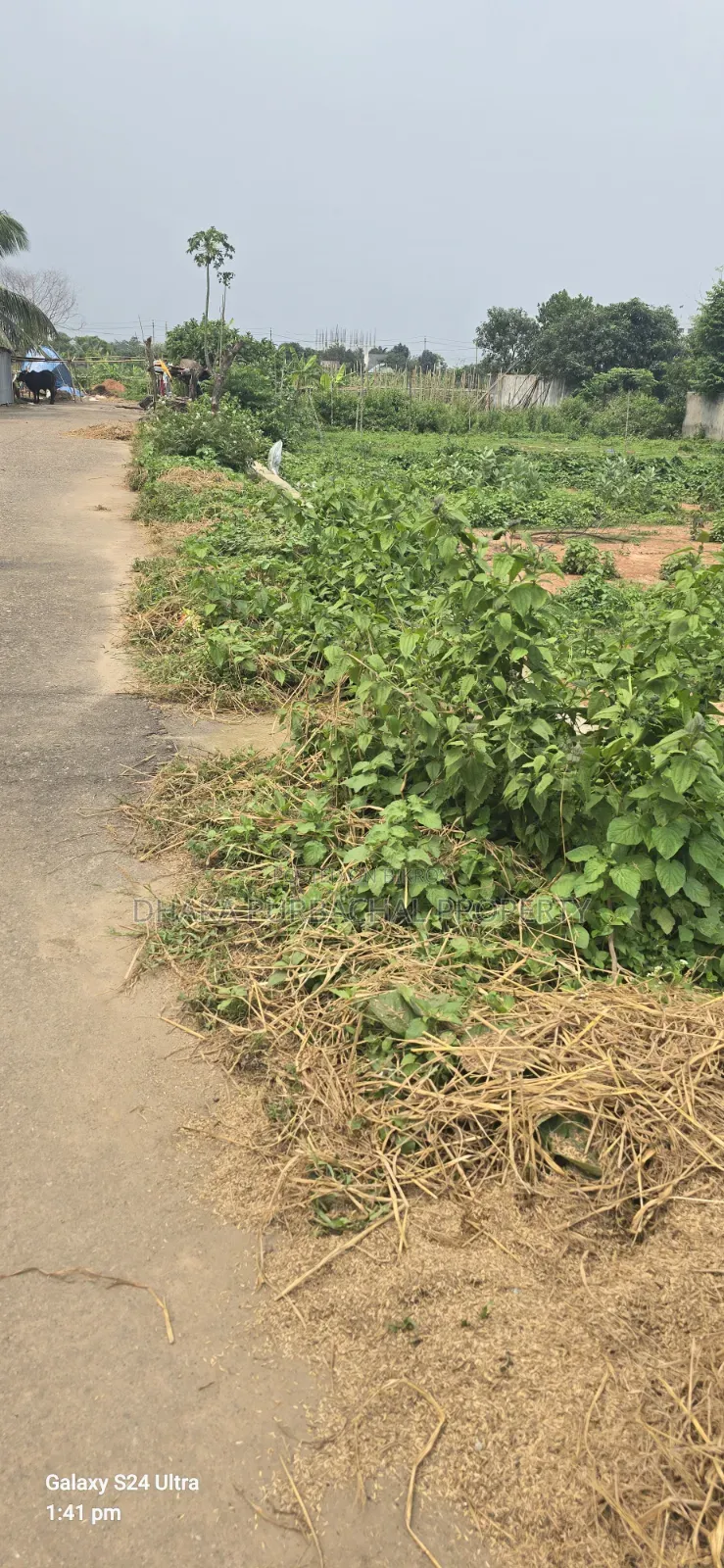Rajuk Purbachal 5 Katha Plot Sell