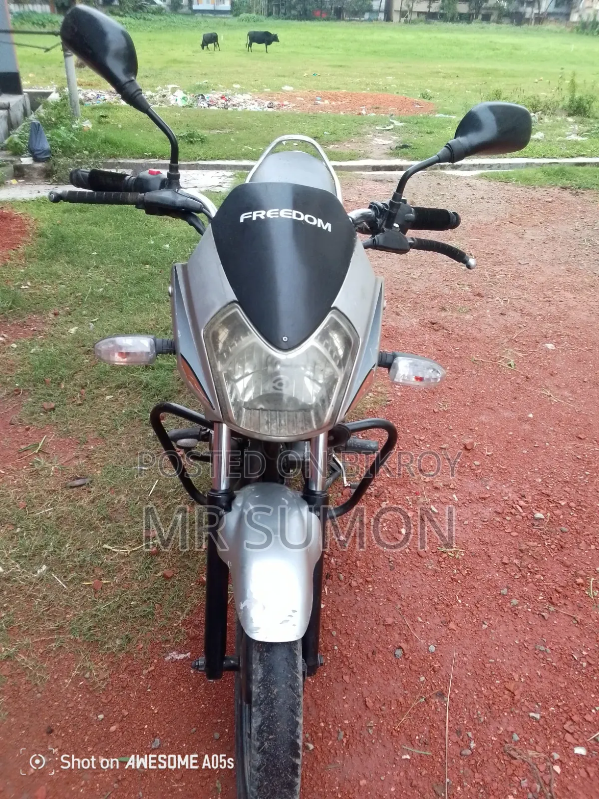 LML Freedom Prima 110 2015 Silver