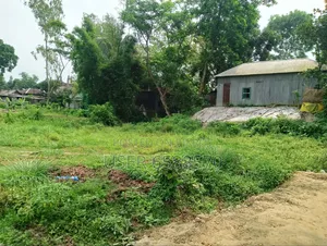 Land Plots
