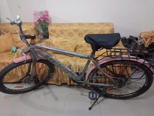 Cycle "26"