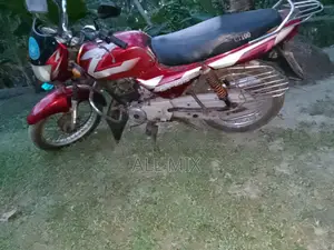 বাজাজ সিটি ১০০ ২০১৫ রেড