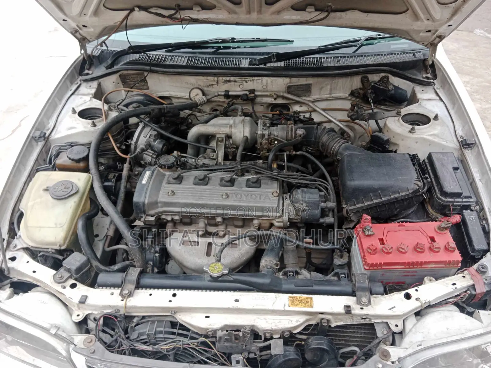Toyota Corolla Sedan 2003 White
