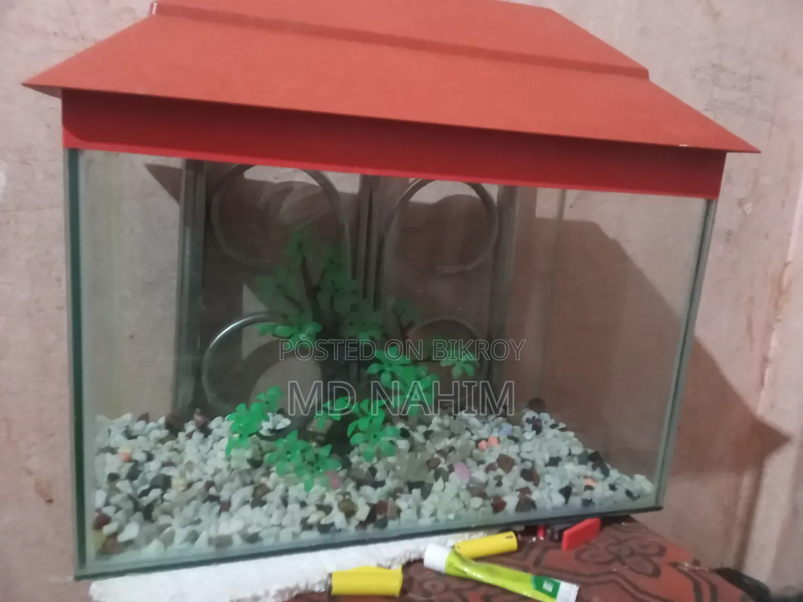 Fish Aquarium