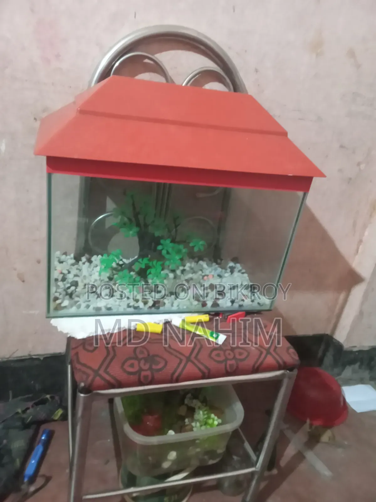 Fish Aquarium