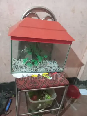 Fish Aquarium